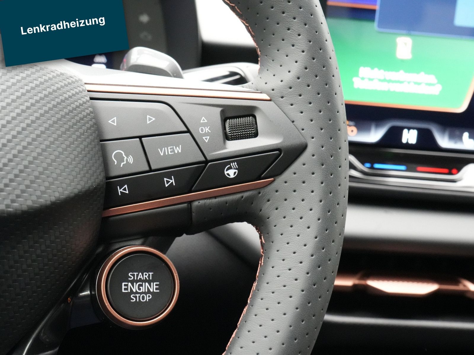 Cupra Terramar - Bild 12
