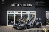 Ford GT LIQUID CARBON 1 OF 08 in EU + FULL CARBON BOD - Ford GT: Coupé