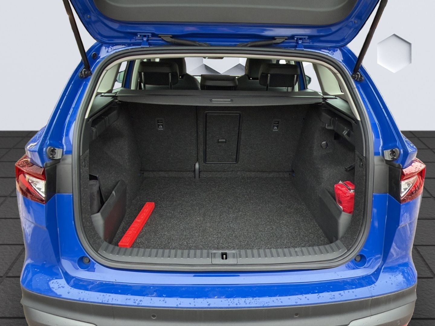 ENYAQ iV iV50 LED GJR Rückfahrkamera