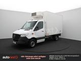 Mercedes-Benz Sprinter 316 ThermoKing V500-MAX -32° Tiefkühl ( - Mercedes-Benz The