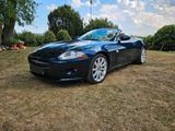 Jaguar XK XK8 Cabrio - : Cabrio, Jag