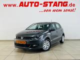 Volkswagen Polo 1.6 TDI DSG - Volkswagen Polo aus 2010: TDI