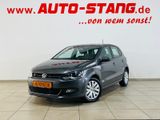 Volkswagen Polo 1.6 TDI DSG - Volkswagen Polo aus 2010: 1.6