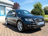 Audi SQ5 3.0 TDI quattro Nav Pano Xenon Scheckh. Audi - gebrauchte Audi SQ5 aus dem Jahr 2014