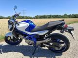 Suzuki Gladius - Nur 5500 km!!! - blau/weiss (SFV650A)  - SUZUKI 550