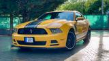 Ford Boss 302 Mustang  - Ford Mustang: Boss