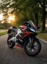 Aprilia RS 125 GP Replica  - APRILIA RS 125 REPLICA