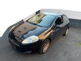 Fiat Punto 1.2 8V - Fiat Punto in Hannover