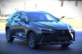Lexus NX 350h 350h Luxury Line Luxury Line - Lexus aus 2023