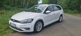 Volkswagen Golf 1.5 TGI BlueMotion DSG UNITED Variant U... - Volkswagen Golf mit CNG-Antrieb