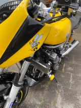 Yamaha XJR 1300 RP 06 - YAMAHA XJR