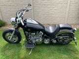 Yamaha Wild Star  - Angebote