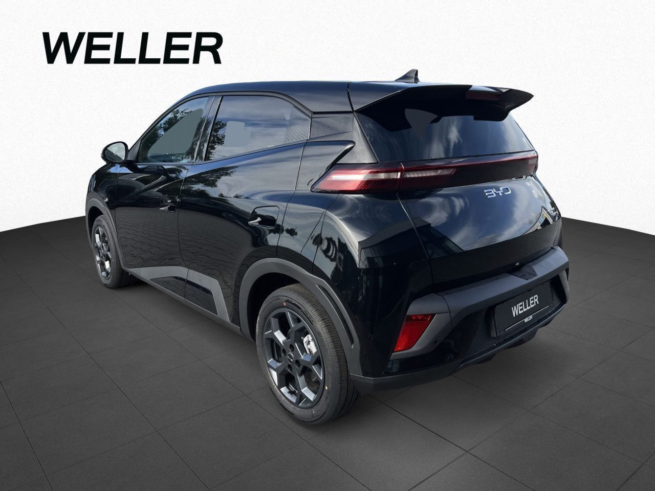 BYD DOLPHIN SURF