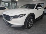 Mazda CX-30 SKYACTIV-X 2.0 186PS 6AG Selection Des-P P - Gebrauchtwagen in Leverkusen