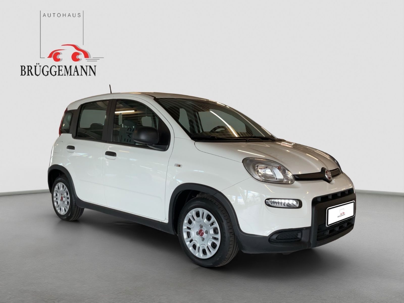 Fahrzeugabbildung Fiat Panda 1.0 GSE Hybrid + Techpaket
