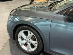 SKODA Octavia - Ansicht 13