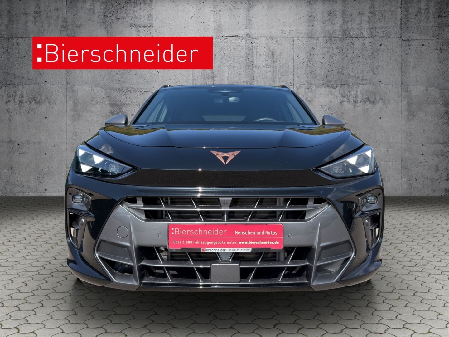Cupra Terramar - Bild 3