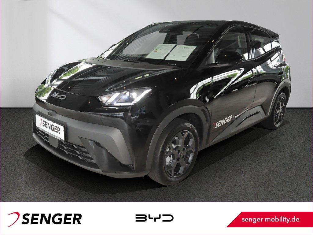 BYD DOLPHIN SURF Comfort Carplay 360°K. LED Keyless