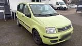 Fiat Panda Klima 1.2 - Fiat Panda Gebrauchtwagen in Kassel