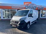 Fiat Ducato  2.3 L1H1 Kasten*Klima*Automatik*Kamera* - Fiat Ducato: Automatik