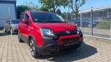 Fiat Panda Pandina Cross / 1. Hand - Fiat Panda Gebrauchtwagen in Mannheim