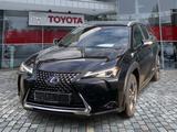 Lexus UX 250h Style Edition wenig KM*Top Gewartet - Lexus UX: Style Edition