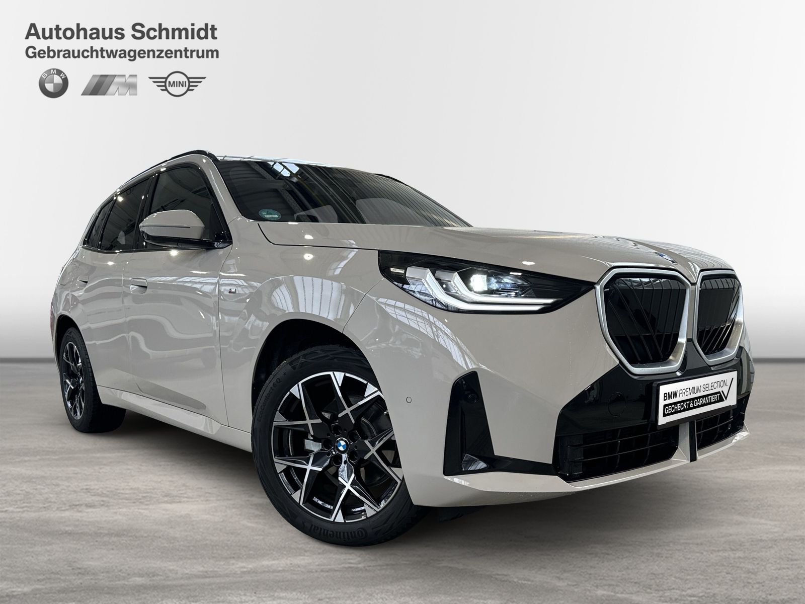 BMW X3 - Bild 6