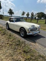 Austin Healey Andere - Austin Healey Gebrauchtwagen