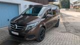 Mercedes-Benz Marco Polo 250d 4Matic Camper - Allradantrieb Kastenwagen