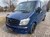 Mercedes-Benz Sprinter Mixto Autom Standhz. AHK 3, 5t LKW-Zul
