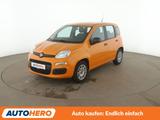 Fiat Panda 1.2 Easy *PDC*KLIMA*GARANTIE* - Fiat Panda mit Benzin-Antrieb: Kleinwagen, Schaltgetriebe