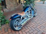 Harley-Davidson No Night Rod  Thunderbike Umbau 280erca.33000€ - HARLEY-DAVIDSON THUN