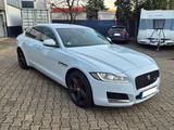 Jaguar XF 25t R-Sport Automatik * Scheckheft - gebrauchte Jaguar XF aus dem Jahr 2019