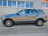Mercedes-Benz GLE -Klasse  250 d 4Matic - Mercedes-Benz GLE 250 Gebrauchtwagen