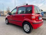 Fiat Panda Fiat Panda Dynamic 1.2 - Fiat Panda in Herne