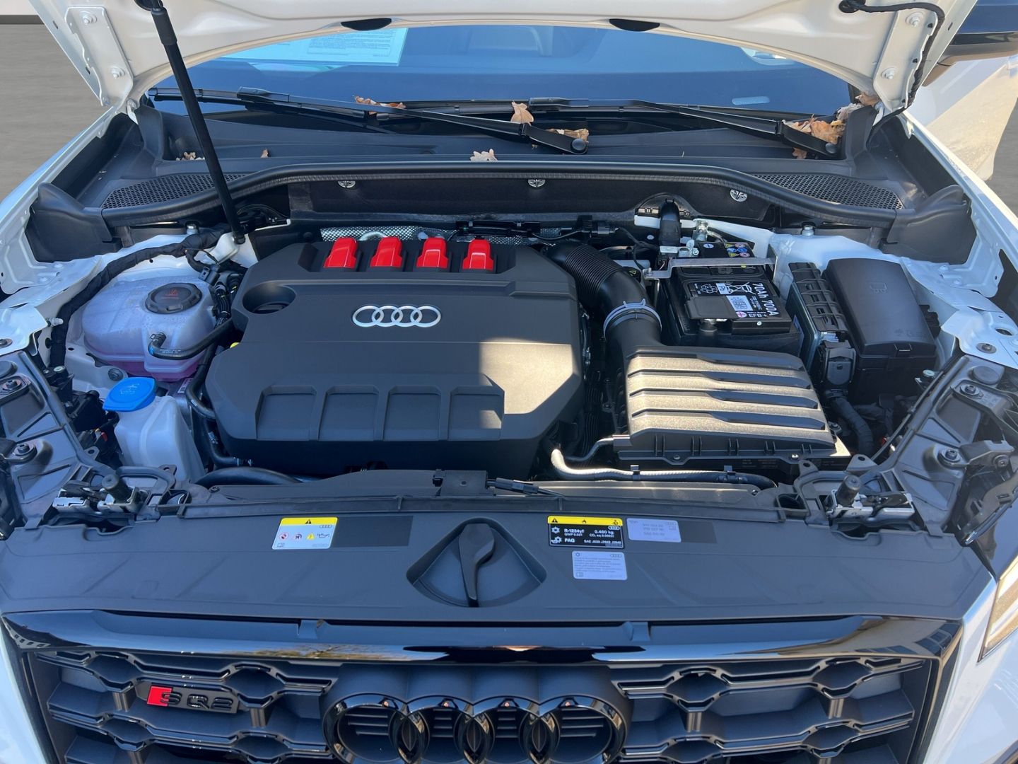 Audi SQ2 - Bild 20