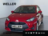 Toyota Yaris 1.0 Comfort *ACC*CAM*CarPlay*Spurhalteass* - Toyota Yaris: 1.1