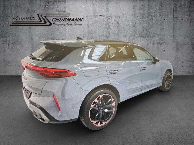 Terramar 2.0 TSI 150kW DSG 4Drive A.View AHK