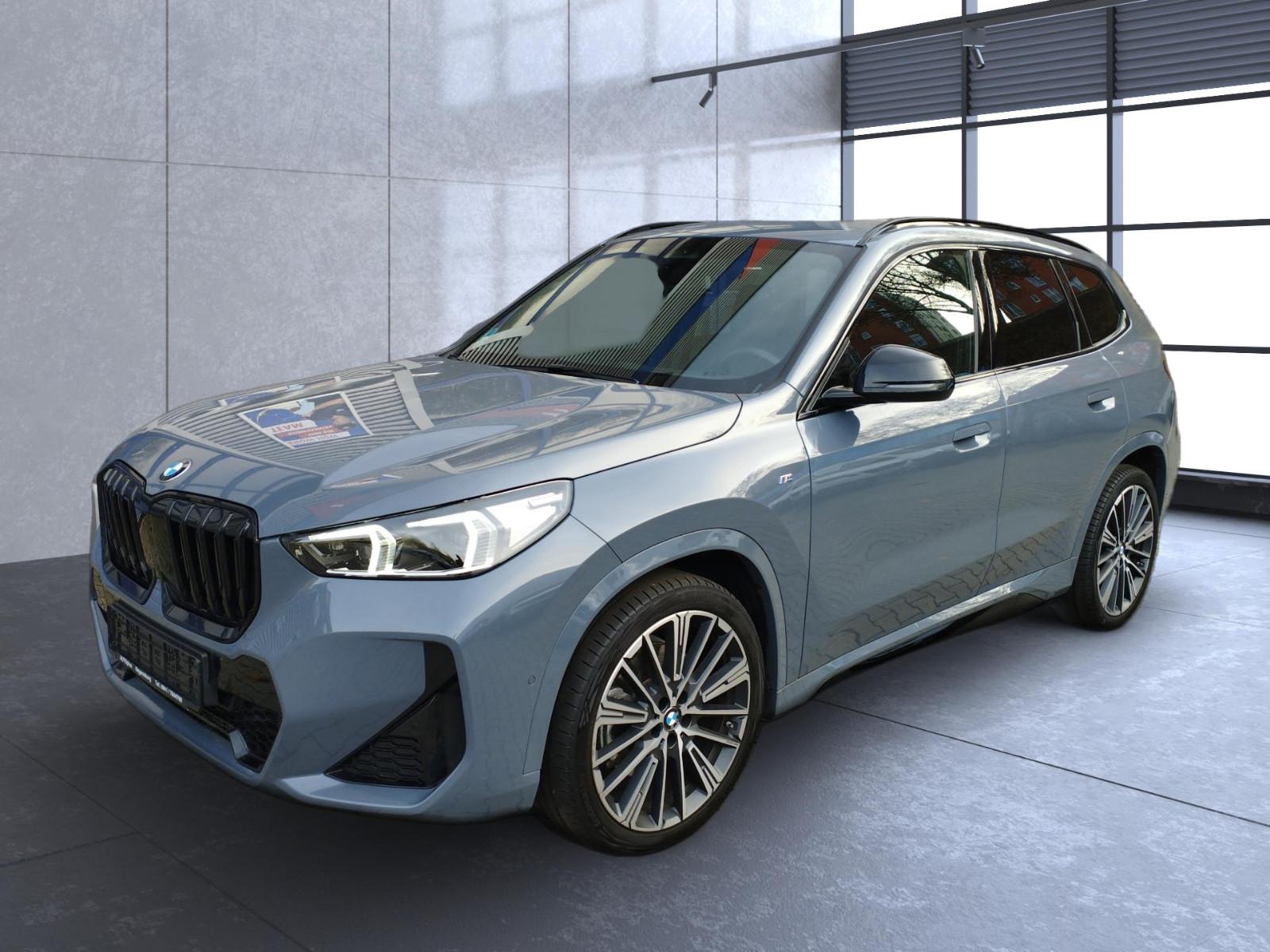 BMW X1 23 d xDrive M Sport*AHK*Keyless*20 Zoll