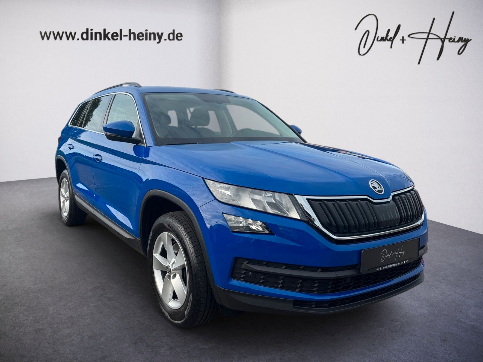 Fahrzeugabbildung SKODA Kodiaq Ambition 1.5 TSI