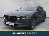 Mazda CX-30 EXCLUSIVE-LINE 2WD SHZ+LED+PDC+KLIMA - Mazda CX-30 in Hannover