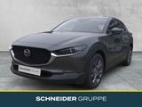 Mazda CX-30 EXCLUSIVE-LINE 2WD SHZ+LED+PDC+KLIMA - Mazda CX-30 in Dresden