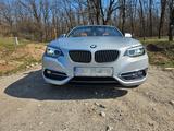 BMW 230i Steptronic Cabrio Luxury Line Luxury Line - BMW 230 von privat
