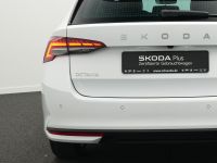 Skoda Octavia - Vorschau Bild 35