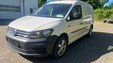 Volkswagen Caddy Nfz Maxi Kasten BMT Standheizung - VW Caddy Gebrauchtwagen in Bielefeld