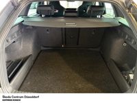 Skoda Octavia - Vorschau Bild 8