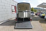 Böckmann Duo Esprit Pferde Anhänger 2400 KG - Böckmann Duo