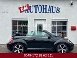 Volkswagen Beetle Cabriolet BMT 79000 KM - Volkswagen Beetle: Cabrio