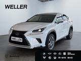 Lexus NX 300h Amazing Edition *Bi-LED*Soundsystem*SHZ* - Lexus: Allradantrieb