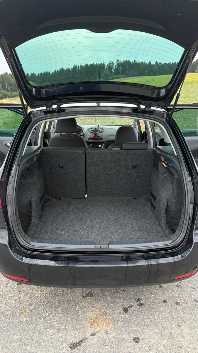 Seat Ibiza 2011 — photo 5